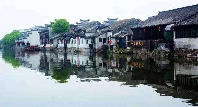 蜜蜂救援